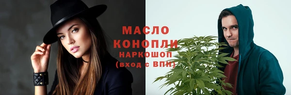 индика Михайлов