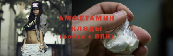 индика Надым