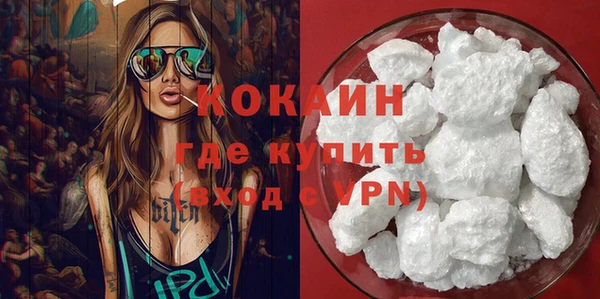 индика Михайлов