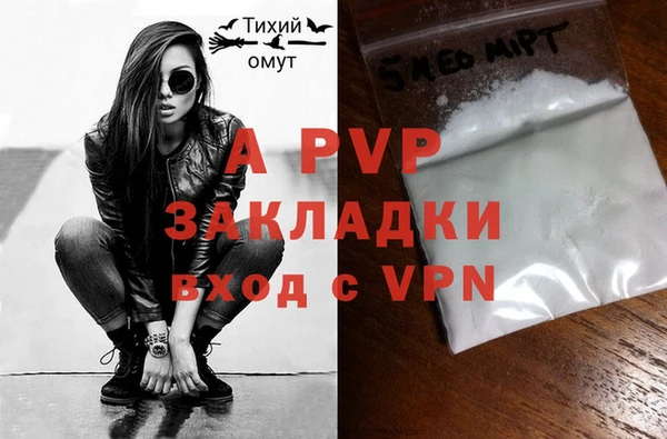 индика Надым