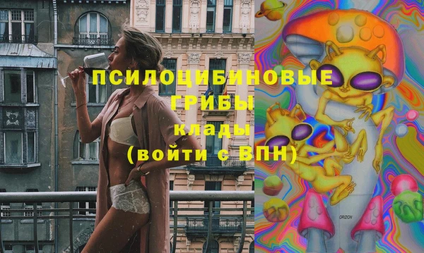 крисы Балахна